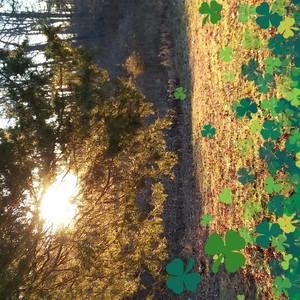 Meet your Posher, Connie